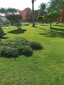 Caribbean World Resort Soma Bay - 61