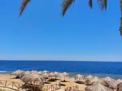 Labranda Sharm Club - 29