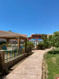 Parrotel Beach Resort - 86