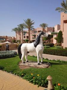 Rehana Sharm Resort - Aquapark & Spa - Couples and Family Only - 81