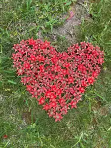 Akka Alinda - Premium Ultra All Inclusive - 96