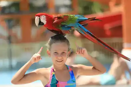 Selectum Family Resort Side - 32