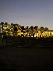 Serenity Alpha Beach - Ex Serenity Makadi Beach - 97