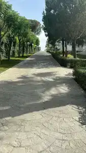 Adam & Eve - Adult Only - 93