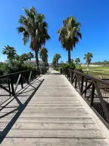 Euphoria Palm Beach Resort - 74