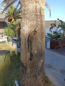 Casa dell'Arte of Arts & Leisure - 41