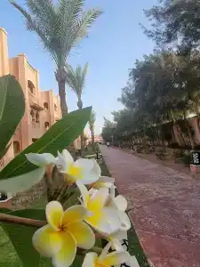 Pickalbatros Aqua Vista Resort - Hurghada - 20