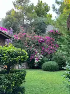 TUI BLUE Seno - Adults Only - 49