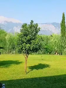 Club Marco Polo - Premium All Inclusive - 78