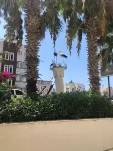 Akdora Resort & Spa - 69