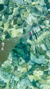 Fame Residence Kemer & Spa - 69