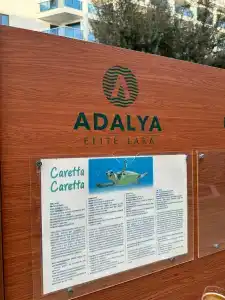 Adalya Elite Lara - 75