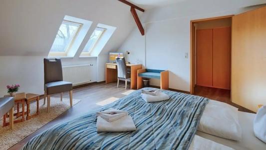 Luther Birke Wittenberg - 8