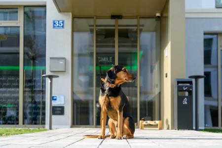 ibis Styles Bad Reichenhall - 19