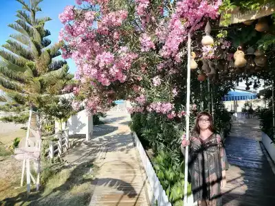 Blue Wave Suite - 56