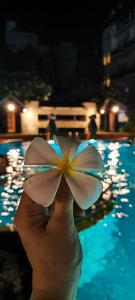 Nipa Resort, Patong Beach - SHA Extra Plus - 13