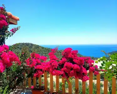 Istlada Taş Ev Apart - Kekova View - 8