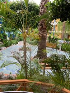 Atrium Palace Thalasso Spa Resort And Villas - 64