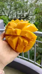 Mercure Pattaya - 99