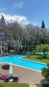 Sherwood Exclusive Kemer - Kids Concept - 97