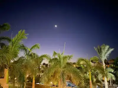 Stella Gardens Resort & Spa, Makadi Bay - 35