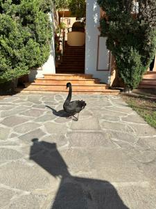 Bahia del Duque - 22