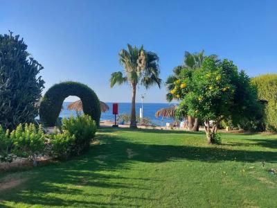 Labranda Sharm Club - 20
