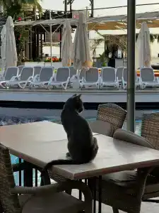 Orange County Kemer - 64