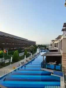 Tuı Magic Life Jacaranda - 94