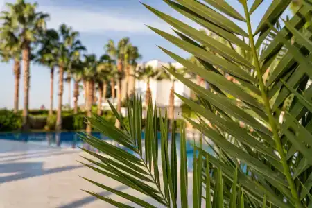 Hillstone Bodrum & Spa - 39