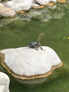 Limak Limra & Resort Kemer - Kids Concept - 49