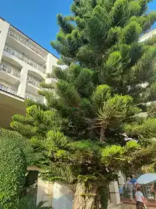 Sunis Elita Beach Resort & SPA - 38