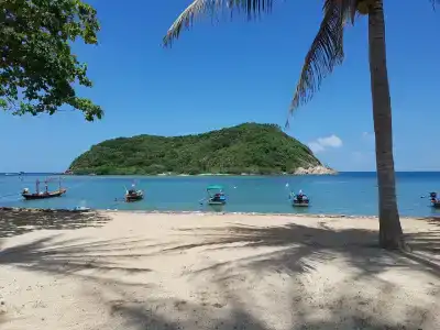 Maehaad Bay Resort - SHA Plus - 3