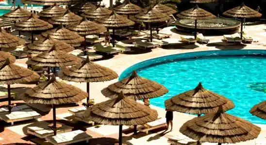 Seagull Beach Resort - Families and Couples Only - 30