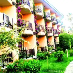 Alba Resort - Ultra All Inclusive - 40