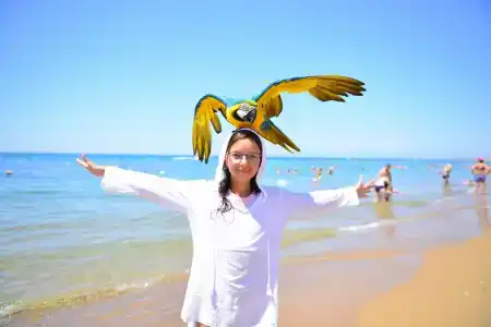 Side Crown Serenity Ultra All Inclusive - 49