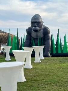 Loxia Comfort Club Side - 32