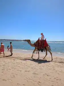 Rehana Sharm Resort - Aquapark & Spa - Couples and Family Only - 9