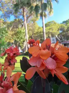 Seven Seas Life - Ultra All Inclusive & Kids Concept - 38