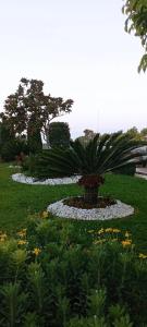 Litore Resort & Spa - Ultra All Inclusive - 50