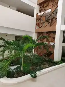 Serenade Punta Cana Beach & Spa Resort - 99