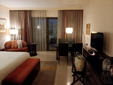 Fairmont The Palm - 59