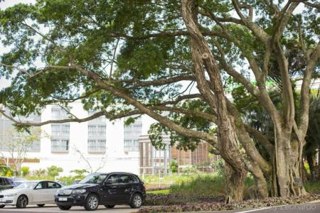 Holiday Inn Mauritius Mon Trésor, an IHG - 40