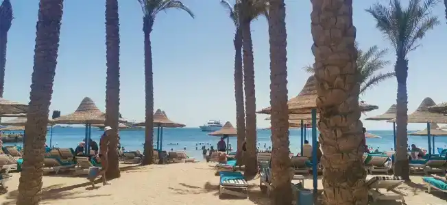 Marlin Inn Azur Resort - 48