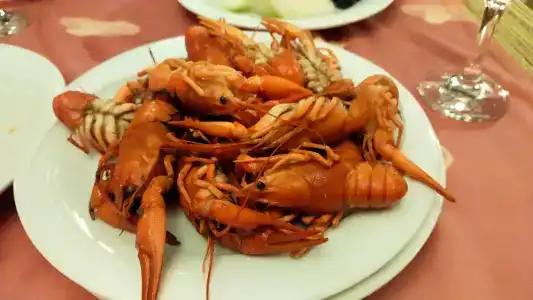 Akka Alinda - Premium Ultra All Inclusive - 63