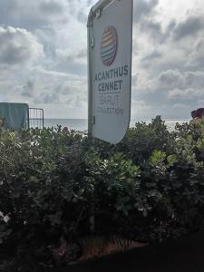 Acanthus Cennet Barut Collection - Ultra All Inclusive - 99