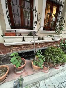 Berce Apartments - 66