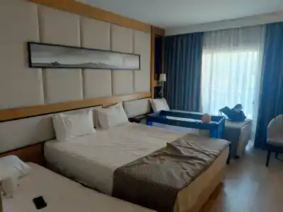 Aydinbey Queen’s Palace & SPA - 29