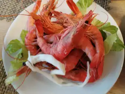 Sentido Trendy Verbena Beach - 74