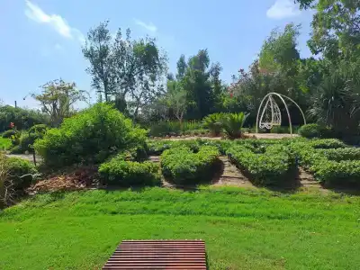 Megasaray Club Belek - 33